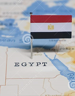 For Egypt inquiry